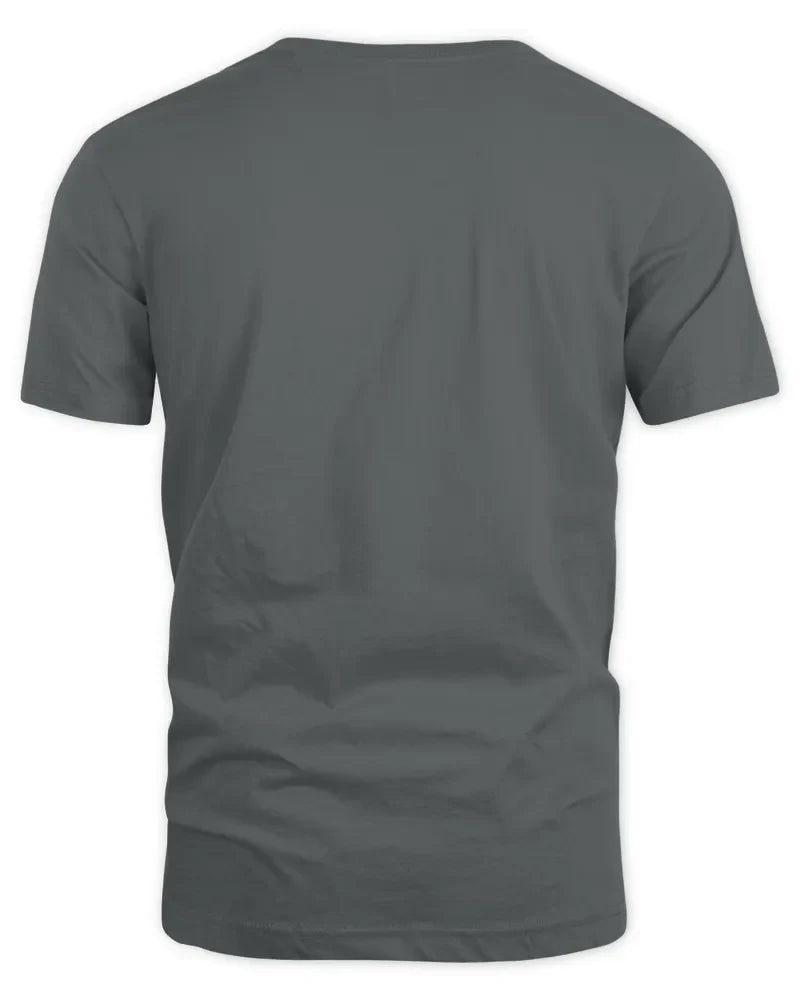 Back view of unisex standard t-shirt in dark grey with seamless collar and twin needle hems